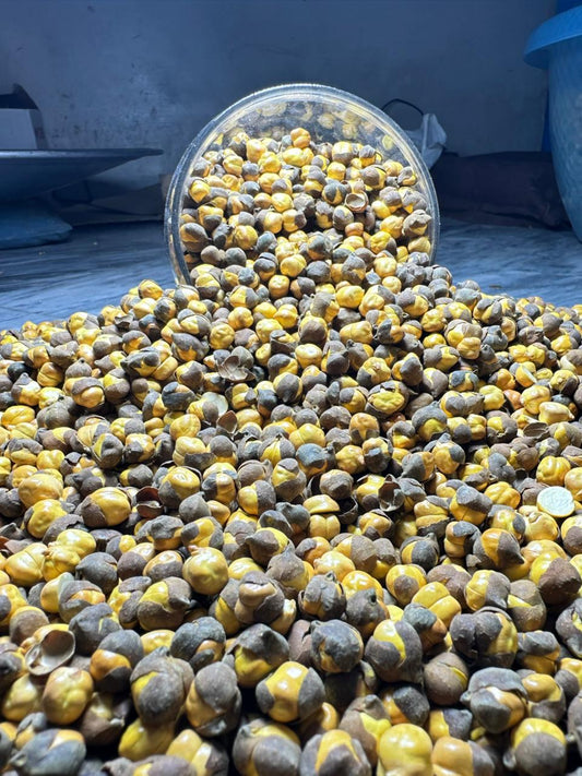 Roasted Chana with Shell (Bhunay Chanay) – Crispy & Nutritious Snack