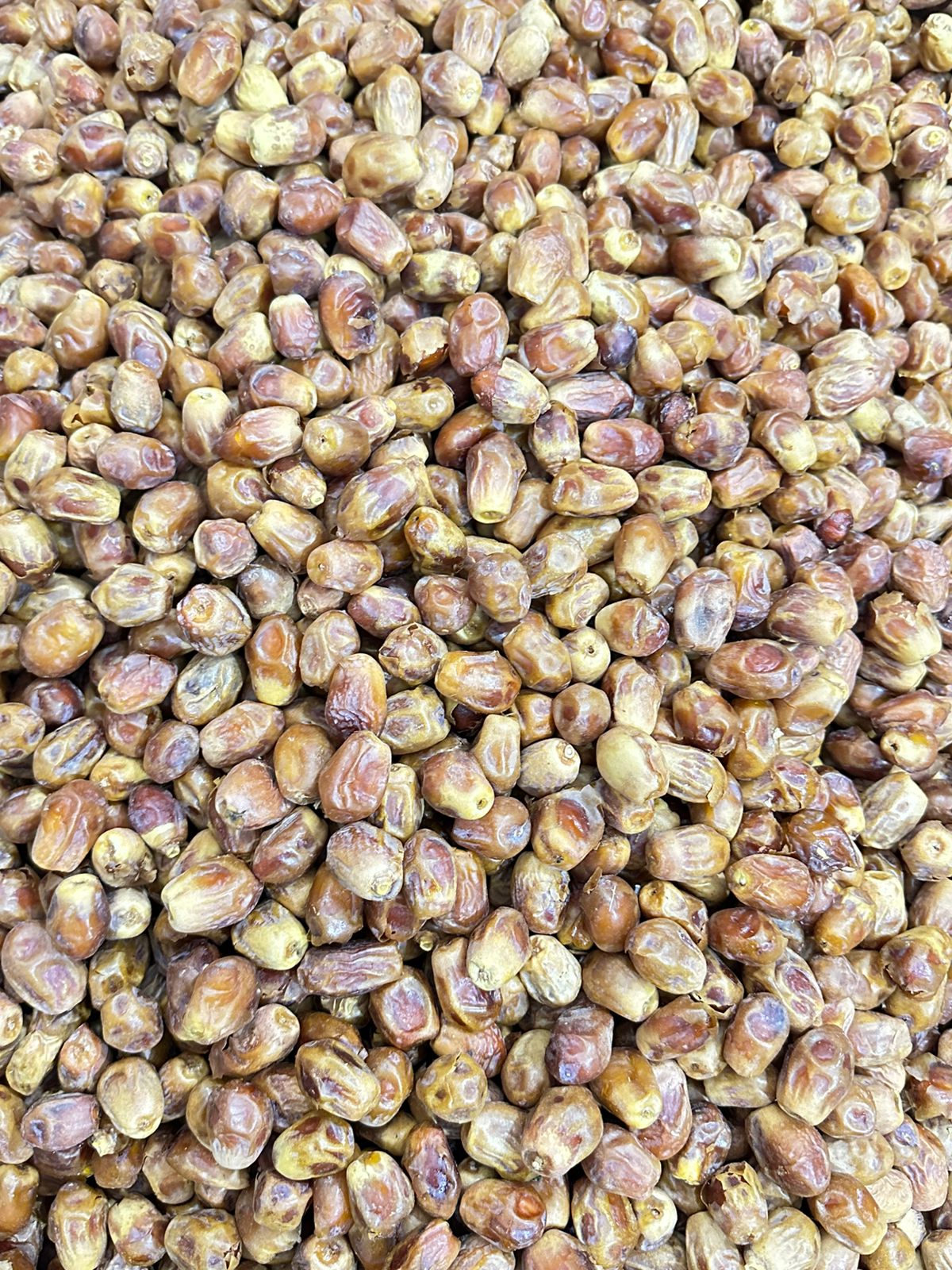 Irani Khajoor Brown – Fresh Imported Premium Dates