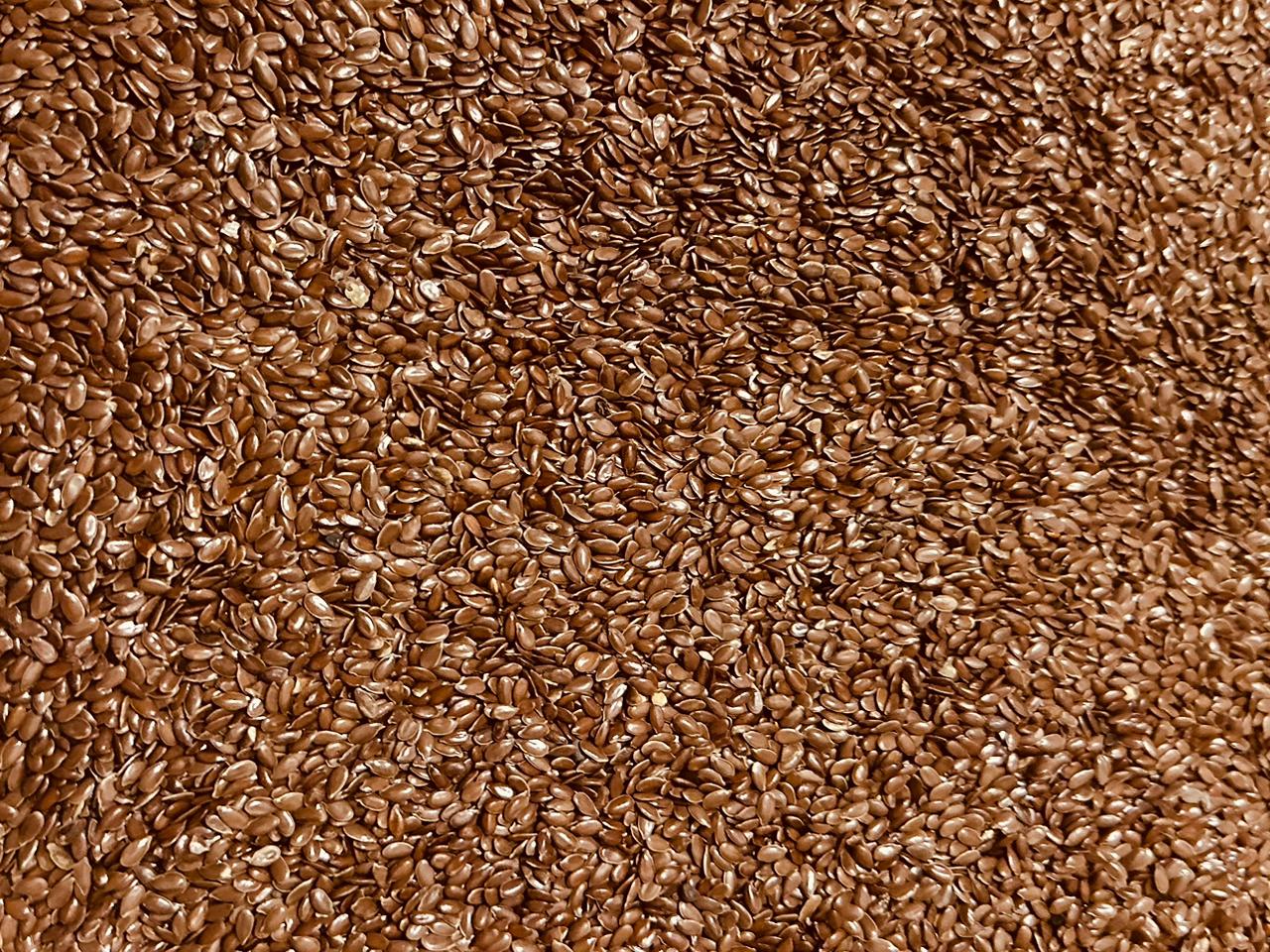 Alsi (Flax Seeds) – Organic Superfood Rich in Omega-3 & Fiber