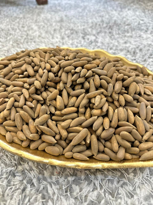 Chilas Chilgoza (Pine Nuts) – 100% Natural & Fresh from Gilgit-Baltistan