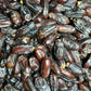 Irani Rubai Dates (Khajoor) – Fresh Imported Premium Quality