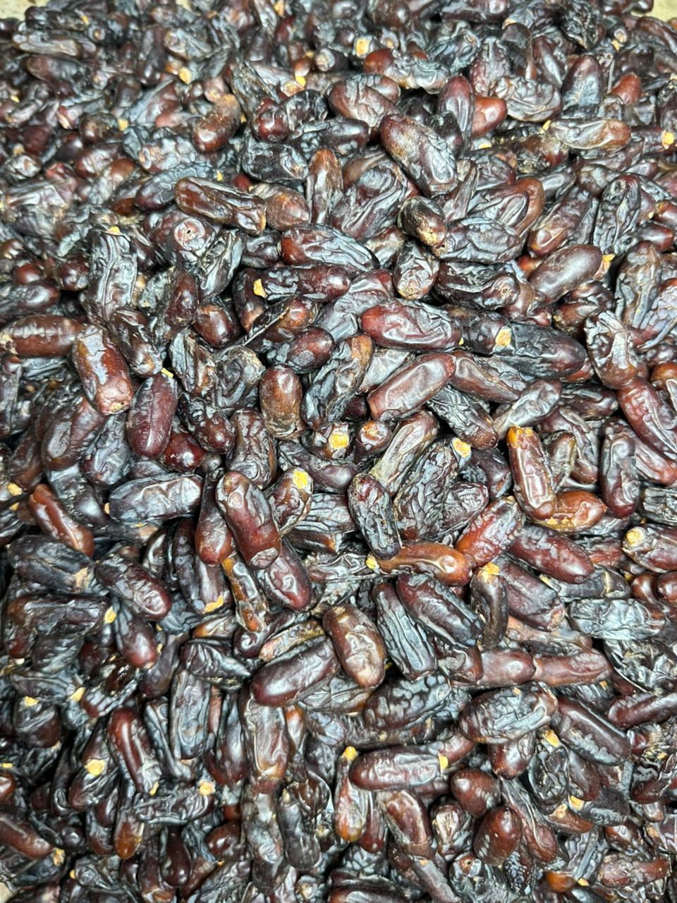 Irani Rubai Dates (Khajoor) – Fresh Imported Premium Quality