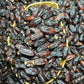 Irani Rubai Dates (Khajoor) – Fresh Imported Premium Quality