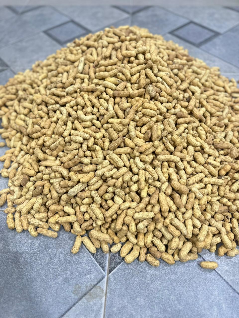 Mong Phali – Fresh & Nutritious Parachinar Peanuts | 250g / 500g / 1000g