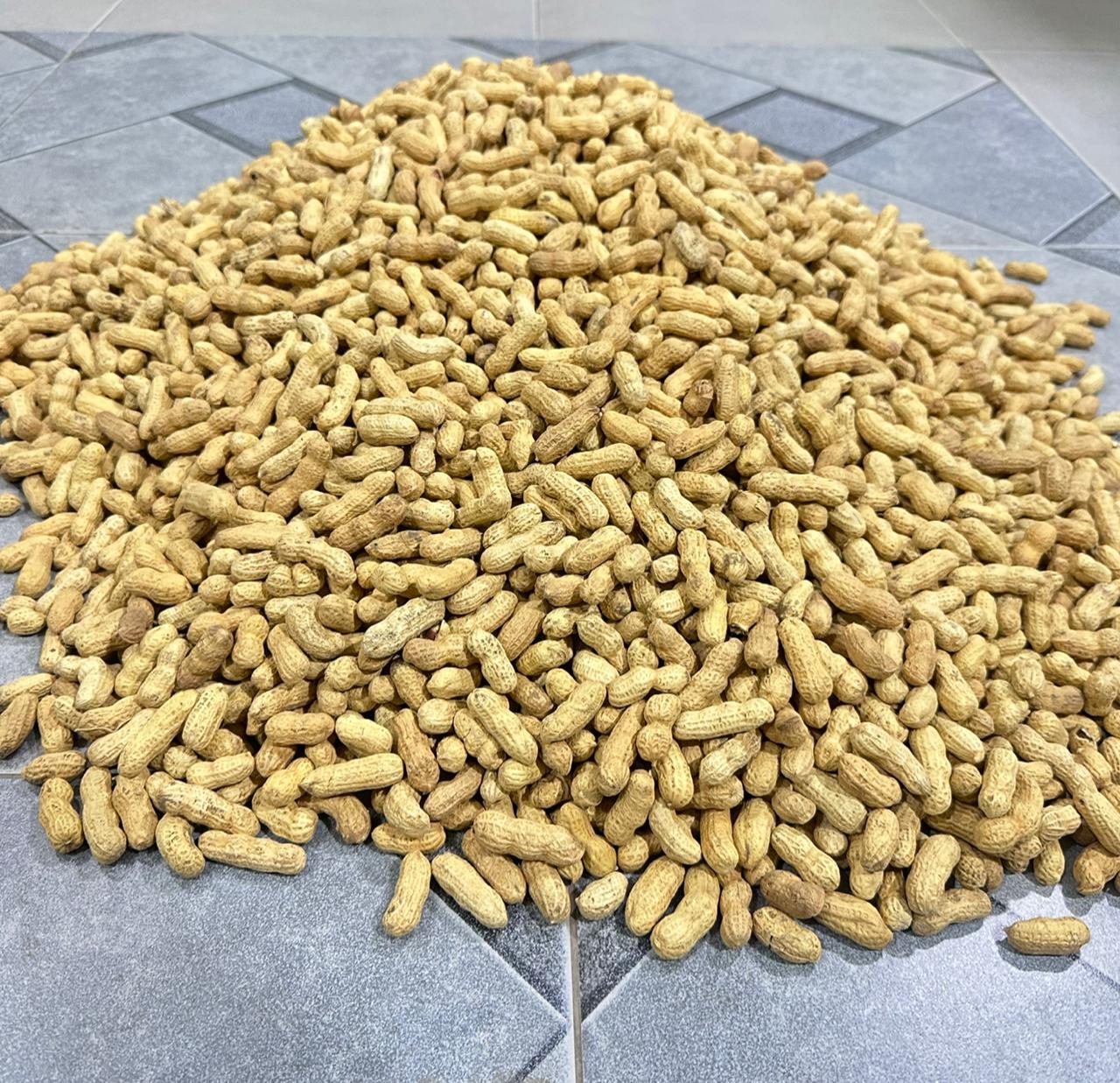 Mong Phali – Fresh & Nutritious Parachinar Peanuts | 250g / 500g / 1000g